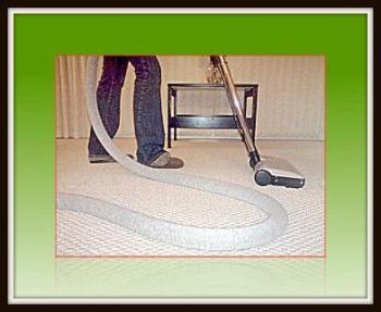 THE CUSTOM CLEANING SOLUTION